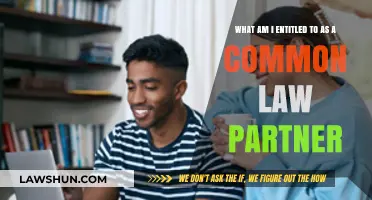 Understanding Your Rights as a Common-Law Partner