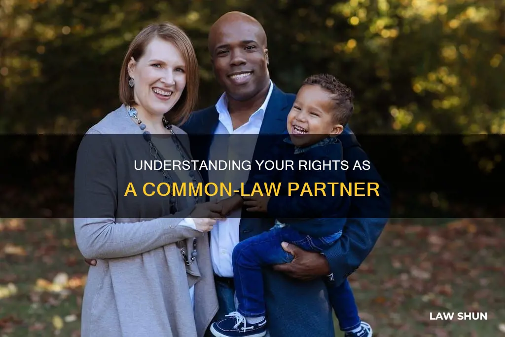 what am i entitled to as a common law partner