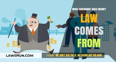 Understanding the Constitutional Amendment Behind U.S. Money Law