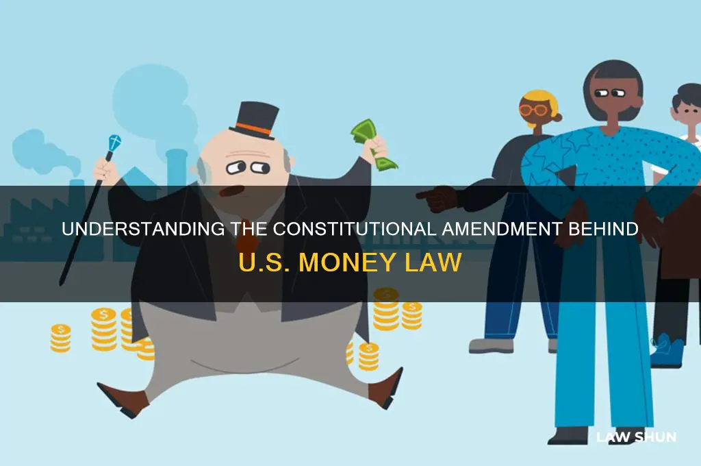 what amendant does money law comes from
