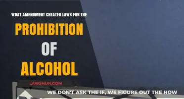 The Prohibition Amendment: Laws Banning Alcohol