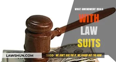 Understanding the Amendment Governing Lawsuits and Legal Rights in the U.S