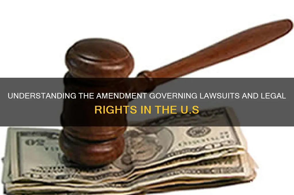 what amendment deals with law suits