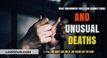 Eighth Amendment: Prohibiting Cruel and Unusual Punishments in Law