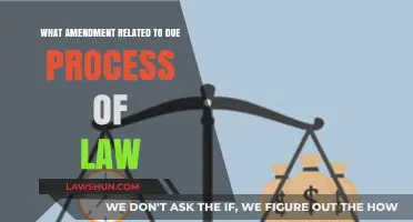 Understanding the Due Process Clause: A Cornerstone of Constitutional Rights