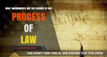 Understanding Due Process: Key Amendments Shaping Legal Fairness in America
