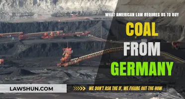 Why US Law Mandates Coal Imports from Germany: Explained
