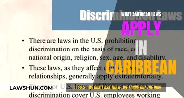 US Laws in the Caribbean: Which Ones Apply?