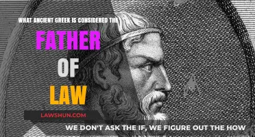 The Ancient Greek Father of Law: Unveiling Draco's Legacy
