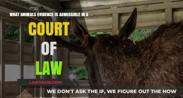 Admissible Animal Evidence: Legal Boundaries in Court Proceedings Explored