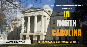 North Carolina's Anti-Drug Laws: Asset Forfeiture Explained