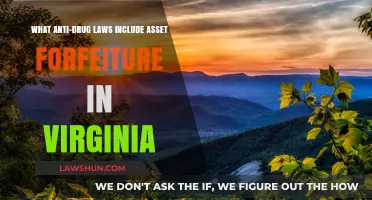 Virginia's Anti-Drug Laws: Asset Forfeiture Explained and Implications
