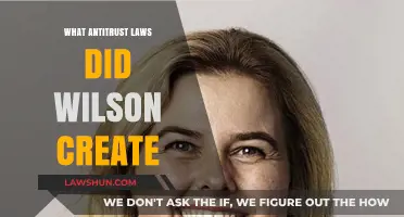 Wilson's Antitrust Laws: A Historical Perspective