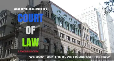 Understanding Legal Appeals: What’s Permitted in a Court of Law