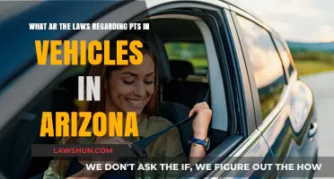 Arizona's Passenger Transport Laws: Understanding Vehicle Regulations and Safety Rules