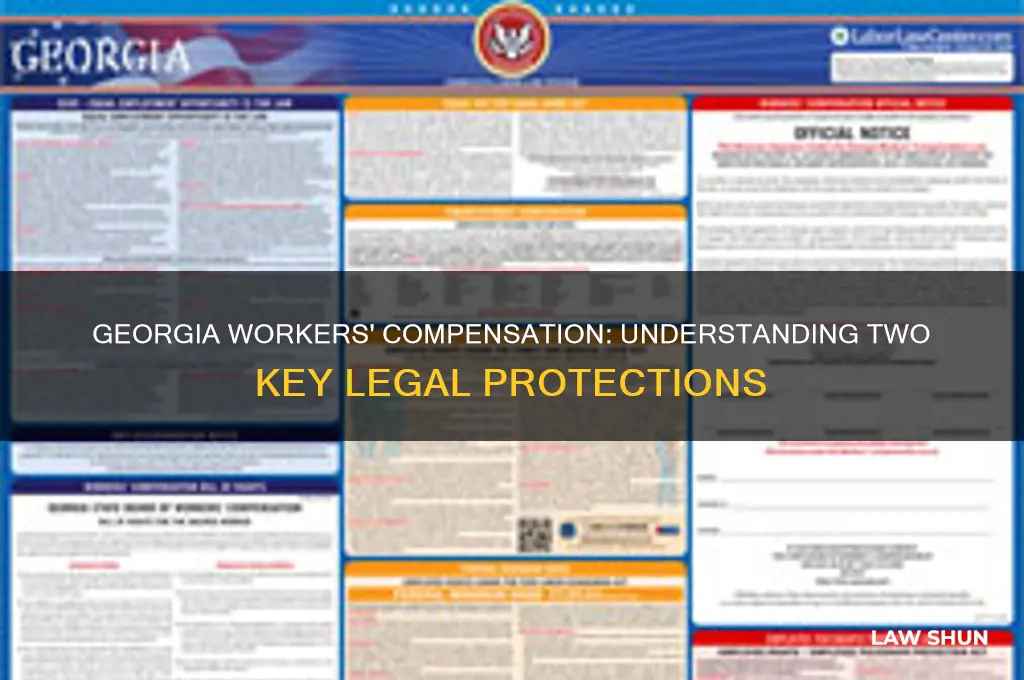 what are 2 laws related to workers compensation in ga