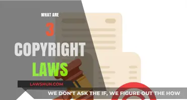 Understanding Copyright Laws: 3 Key Principles Every Creator Should Know