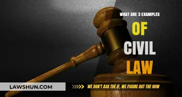 Exploring Key Examples of Civil Law in Everyday Life