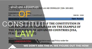 Constitutional Law: Three Key Examples Explained