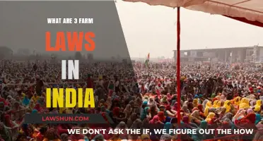 Farm Laws in India: Understanding the Controversial Reforms