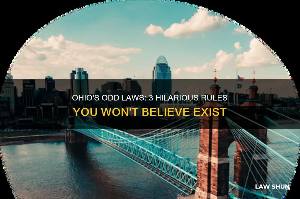 what are 3 funny laws in ohio