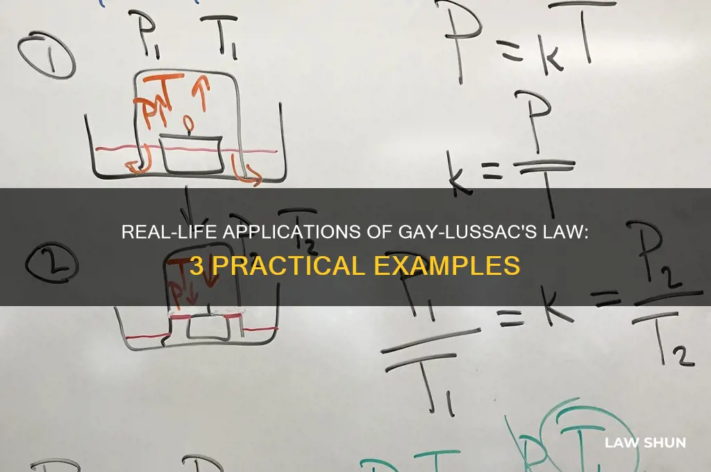 what are 3 real-life examples of gay lussac