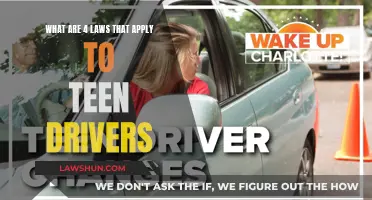 Laws Teen Drivers Must Know