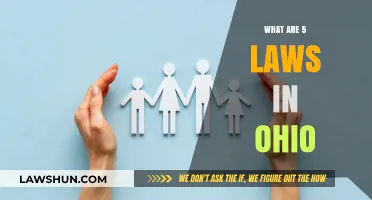 Ohio's Legal Landscape: Exploring Five Key Laws You Should Know