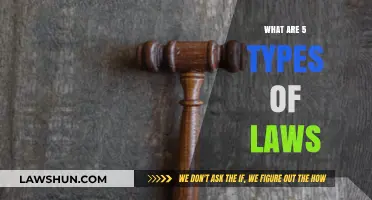 Exploring the Five Fundamental Types of Legal Systems Worldwide
