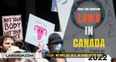 Abortion Laws in Canada: Understanding the Current Landscape