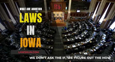 Iowa Abortion Laws: Understanding the Current Landscape