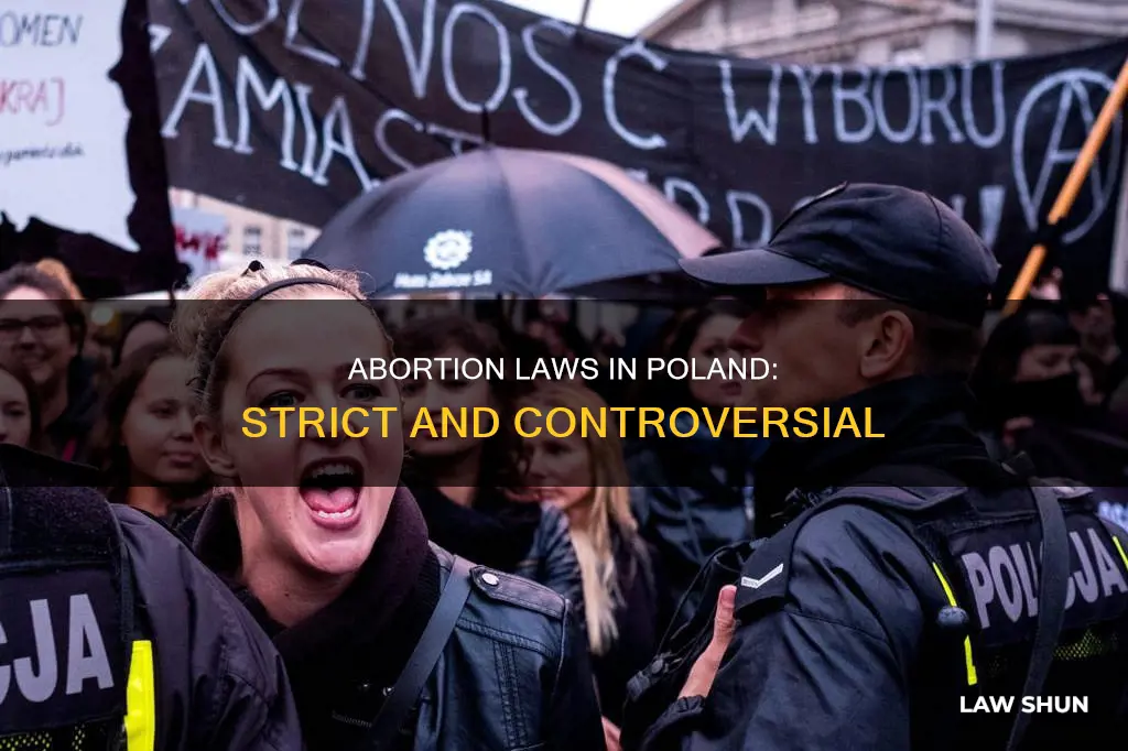 what are abortion laws in poland like