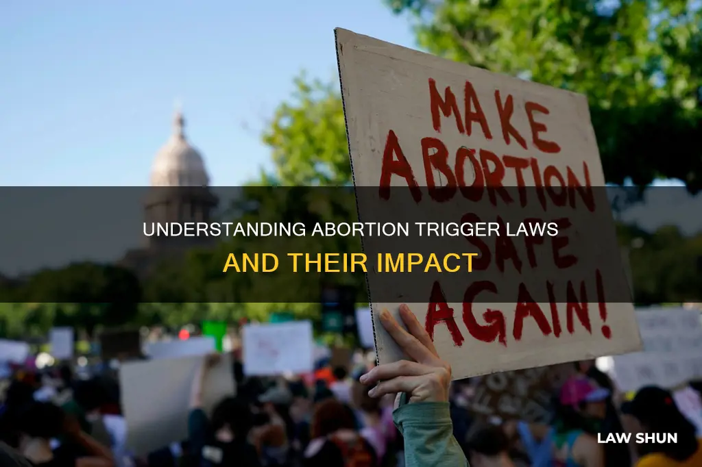 what are abortion trigger laws