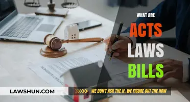 Understanding Acts, Laws, and Bills: A Comprehensive Legal Guide