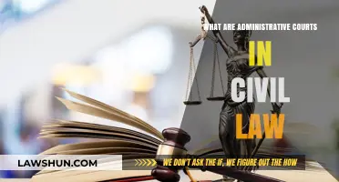 Understanding Administrative Courts in Civil Law Systems: Roles and Functions