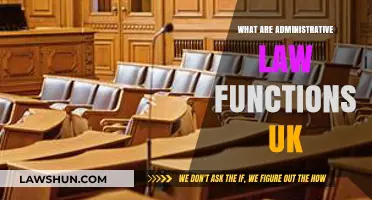 Understanding Administrative Law Functions in the UK
