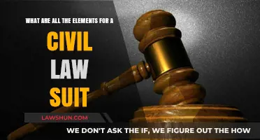Essential Elements of a Civil Lawsuit: A Comprehensive Guide