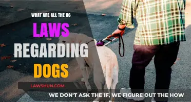North Carolina Dog Laws: A Comprehensive Guide for Pet Owners