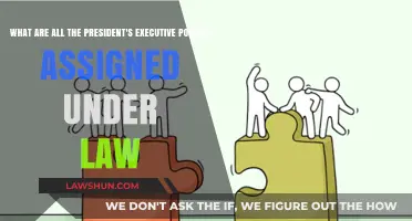 Understanding the President's Executive Powers: Legal Authority Explained