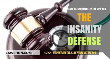 Beyond Insanity Defense: Exploring Non-Legal Alternatives for Mental Health Justice