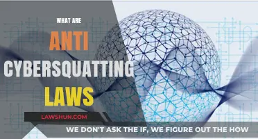 Understanding Anti-Cybersquatting Laws: Protecting Brands Online