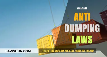 Understanding Anti-Dumping Laws: Protecting Fair Trade and Domestic Industries