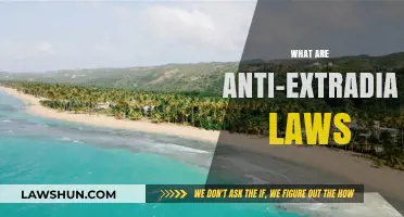 Understanding Anti-Extradition Laws: Global Legal Protections and Implications