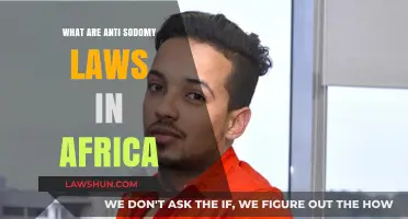 Understanding Africa's Anti-Sodomy Laws: History, Impact, and Current Debates