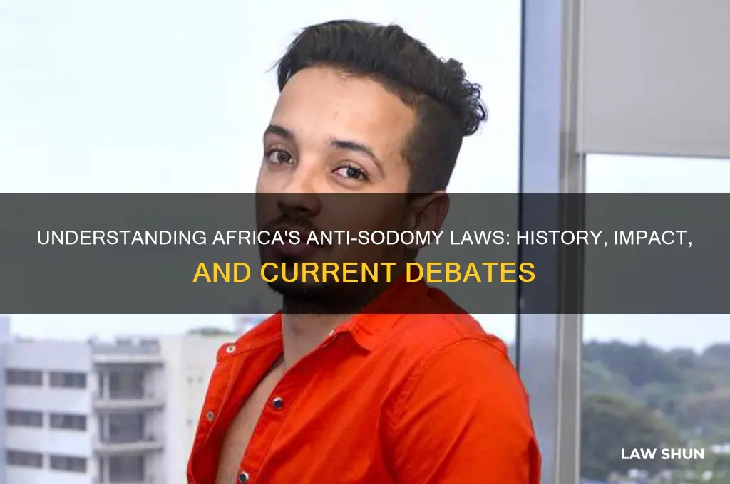 what are anti sodomy laws in africa