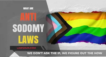 Understanding Anti-Sodomy Laws: History, Impact, and Legal Implications