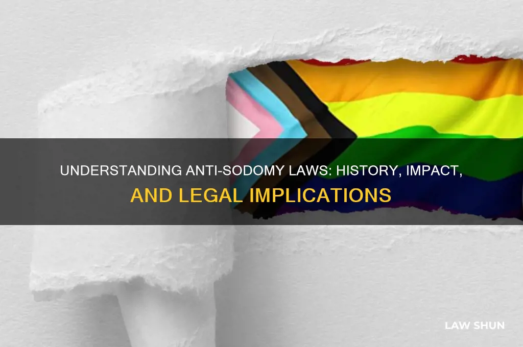 what are anti sodomy laws