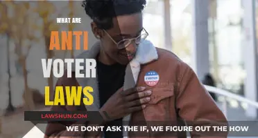 Understanding Anti-Voter Laws: How They Suppress Voting Rights in America