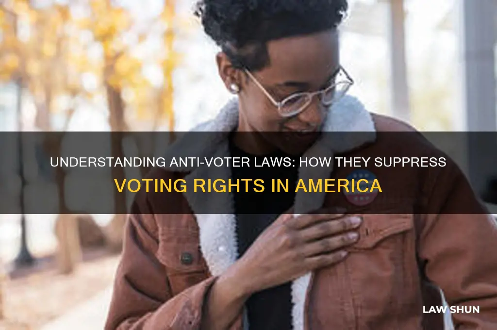 what are anti voter laws