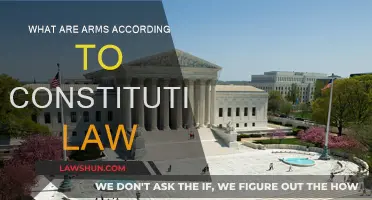 Arms and the Constitution: What's the Law?
